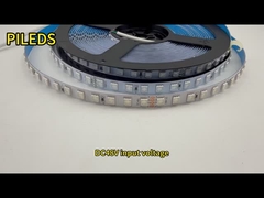 DC48V Flexível LED Strip Light 120 graus ângulo de feixe para soluções de iluminação versáteis e duráveis
